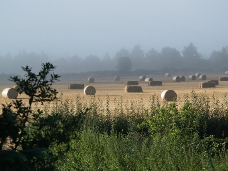 High Park Farm Villa York Dış mekan fotoğraf